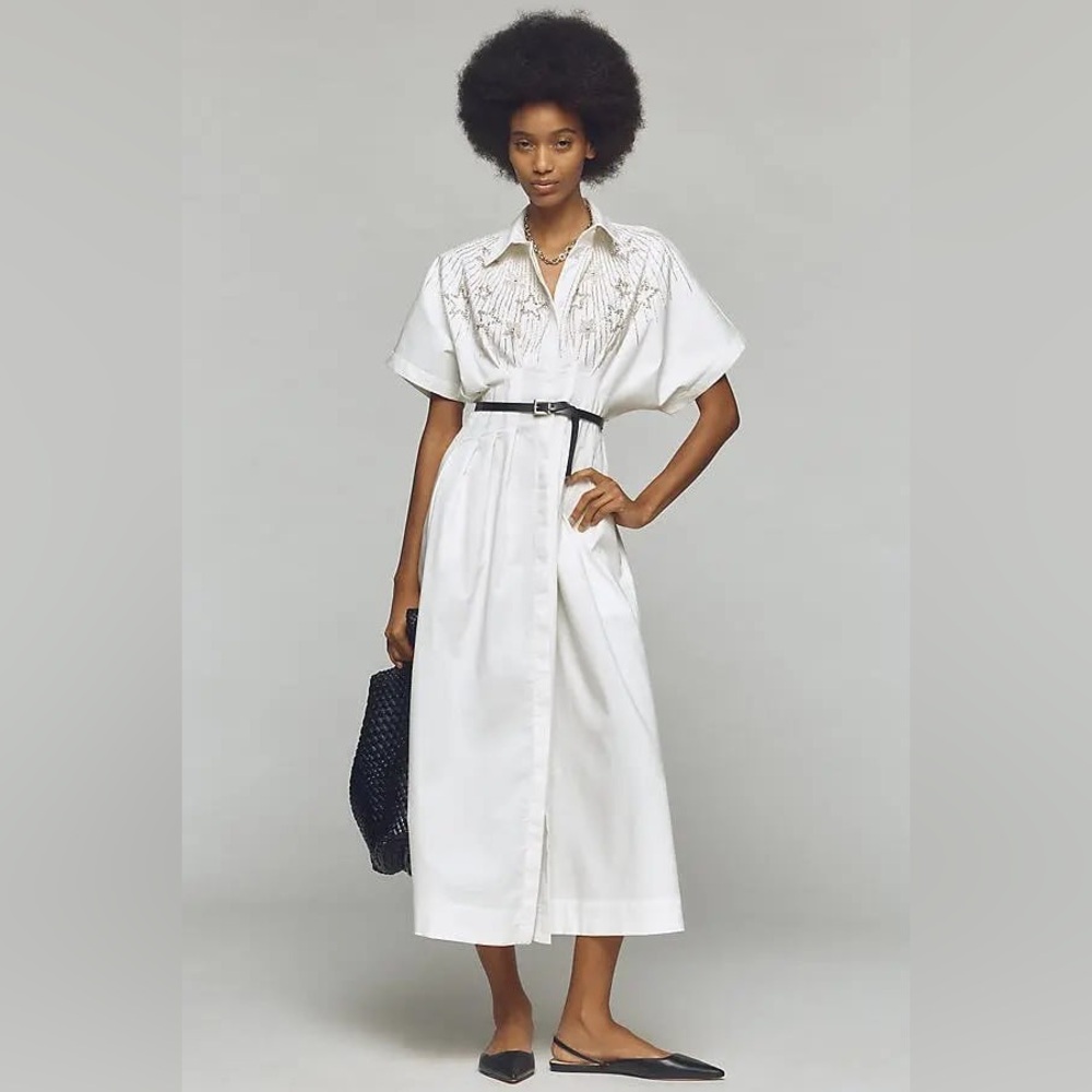 Anthropologie Exquise The Tobie Button-Front Pleated Shirt Dress